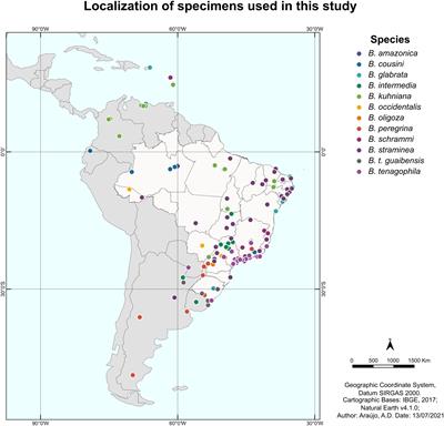 DNA barcoding as a valuable tool for delimiting mollusk species of the genus Biomphalaria Preston, 1910 (Gastropoda: Planorbidae)